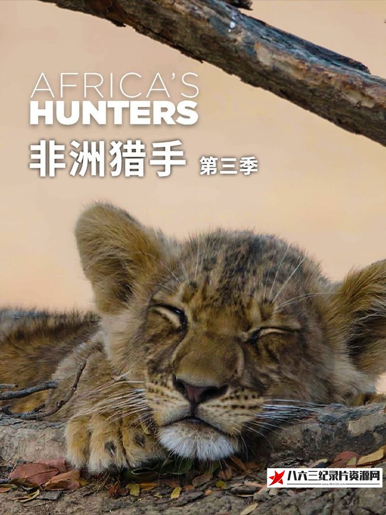 美国纪录片《非洲猎手 第2-3季全12集   Africa's Hunters》高清下载-八六三纪录片资源网