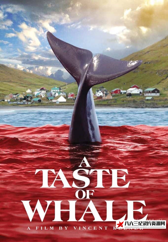法国纪录片《鲸鱼的味道 A Taste of Whale》高清下载-八六三纪录片资源网