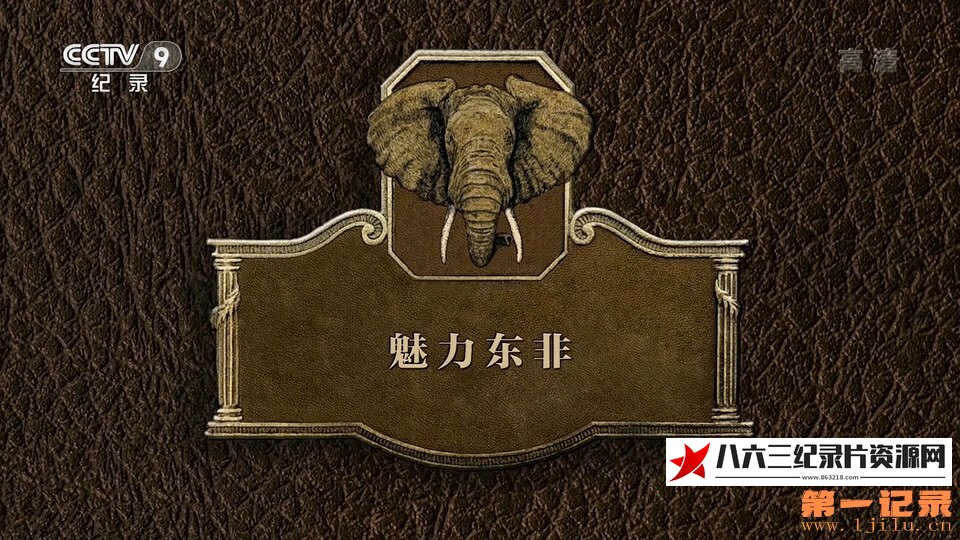 中国大陆纪录片《魅力东非》高清下载-八六三纪录片资源网