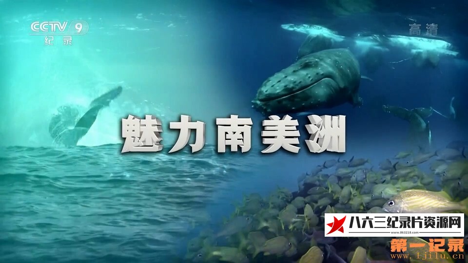 中国大陆纪录片《魅力南美洲》高清下载-八六三纪录片资源网
