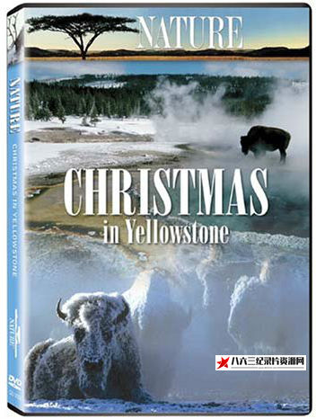 美国纪录片《黄石的圣诞 PBS Nature Christmas in Yellowstone》高清下载-八六三纪录片资源网