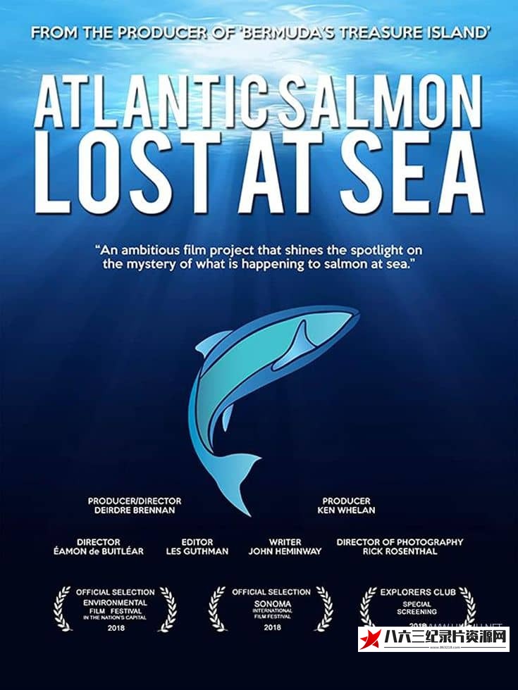 美国纪录片《大西洋鲑鱼：迷失在海上 Atlantic Salmon: Lost at Sea》高清下载-八六三纪录片资源网