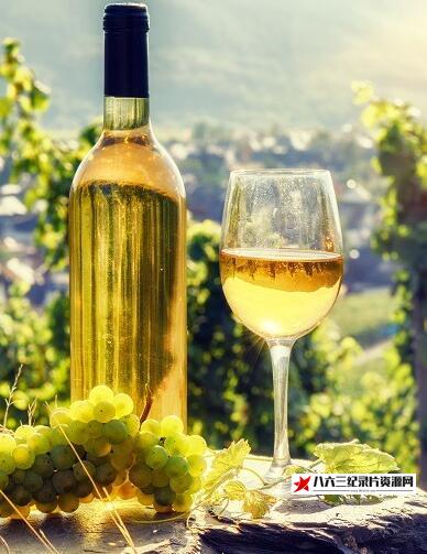 美国纪录片《葡萄酒之旅：香槟&阿尔萨斯 Wineroads: Champagne & Alsace》高清下载-八六三纪录片资源网