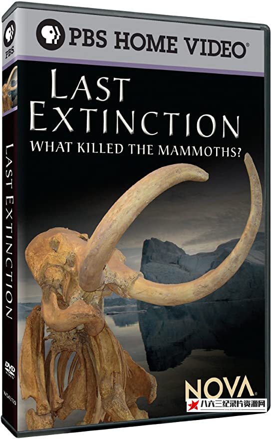 美国纪录片《PBS 猛犸大灭绝》高清下载-八六三纪录片资源网