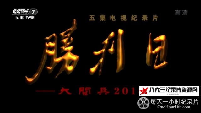 胜利日——大阅兵2015的海报