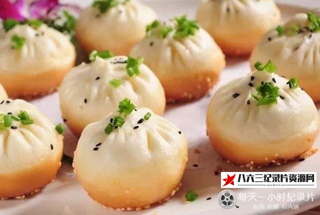 中国纪录片《上海生煎地图》高清下载-八六三纪录片资源网