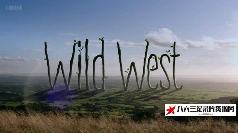休斯的狂野西部 第一季全12集 Hugh's Wild West的海报