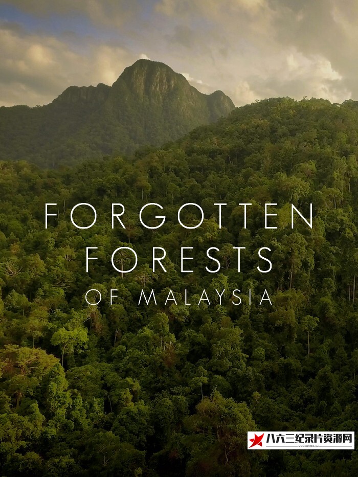 英国纪录片《马来西亚被遗忘的雨林 Forgotten Forests of Malaysia》高清下载-八六三纪录片资源网