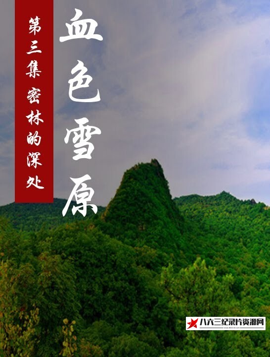 中国大陆纪录片《血色雪原》高清下载-八六三纪录片资源网
