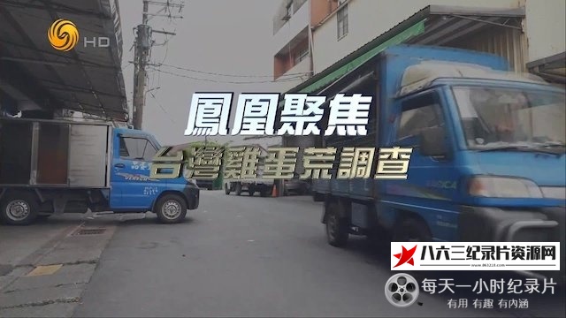 中国香港纪录片《台湾鸡蛋荒调查》高清下载-八六三纪录片资源网