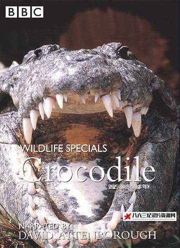 英国纪录片《鳄鱼 Crocodile》高清下载-八六三纪录片资源网