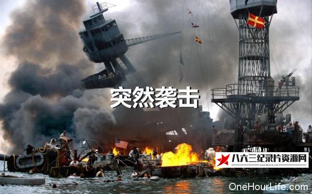 中国纪录片《突然袭击》高清下载-八六三纪录片资源网