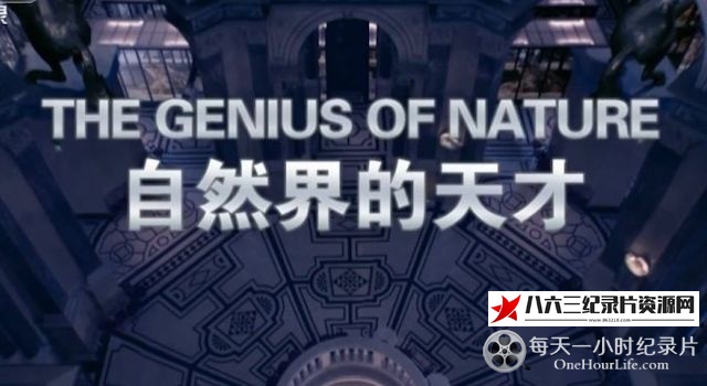 中国纪录片《自然界的天才 The Genius Of Nature》高清下载-八六三纪录片资源网