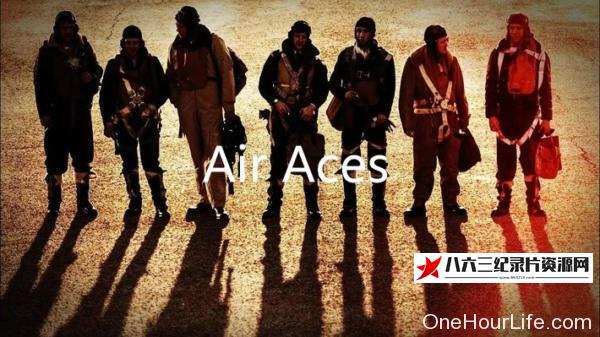 中国纪录片《王牌飞行员 Air Aces》高清下载-八六三纪录片资源网