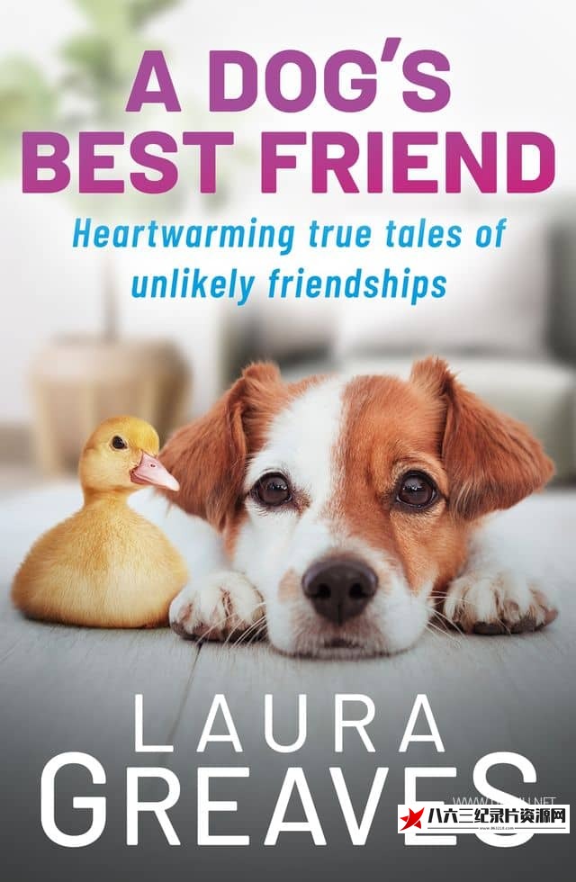 加拿大纪录片《狗狗最好的朋友 Dog's Best Friend》高清下载-八六三纪录片资源网