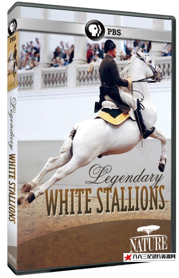美国纪录片《白雪名驹 PBS:Nature: Legendary White Stallions》高清下载-八六三纪录片资源网