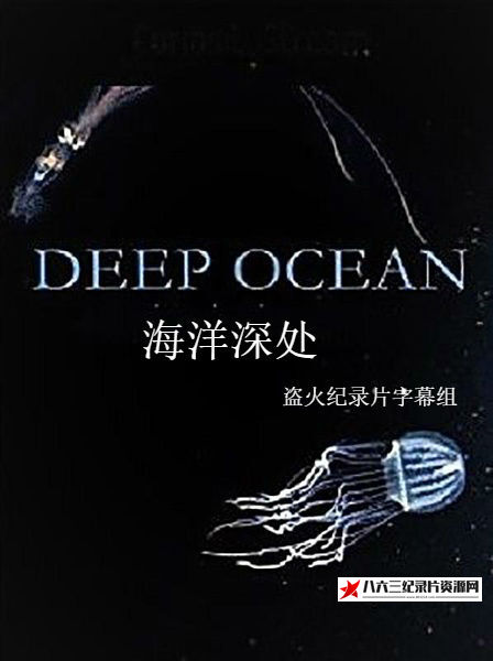 日本纪录片《海洋深处 Deep Ocean》高清下载-八六三纪录片资源网
