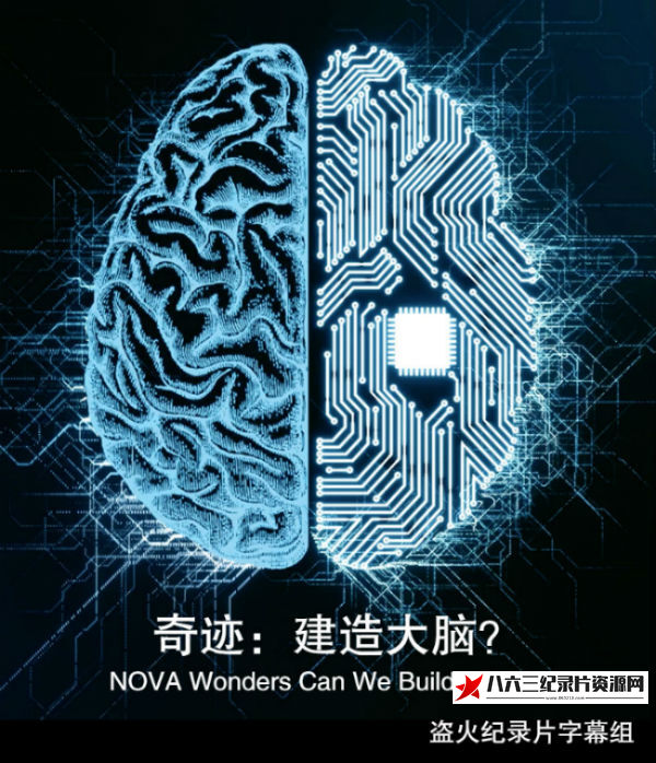 美国纪录片《奇迹：建造大脑？ NOVA Wonders Can We Build a Brain?》高清下载-八六三纪录片资源网