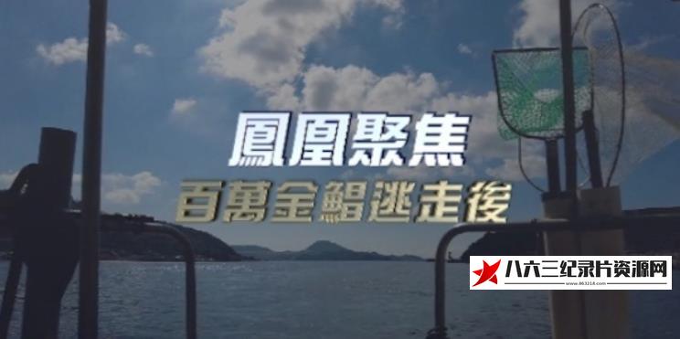 中国香港纪录片《百万金鲳逃走后》高清下载-八六三纪录片资源网