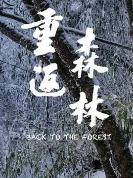 中国纪录片《重返森林 Back to the Forest》高清下载-八六三纪录片资源网