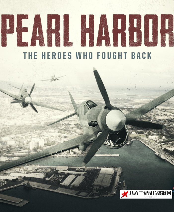 美国纪录片《珍珠港：英雄的反击 Pearl Harbor: The Heroes Who Fought Back》高清下载-八六三纪录片资源网