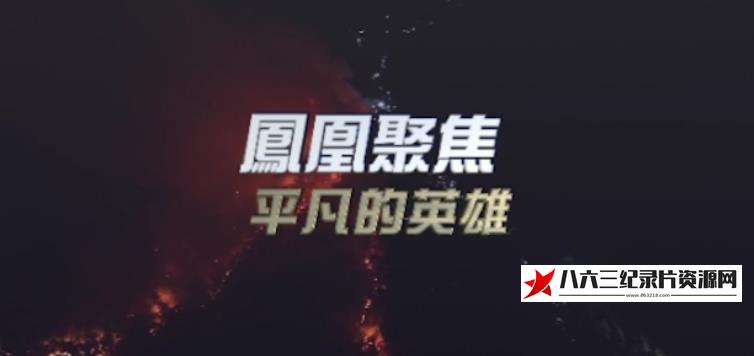 中国香港纪录片《平凡的英雄》高清下载-八六三纪录片资源网