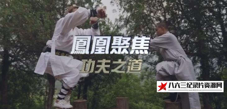 中国香港纪录片《功夫之道》高清下载-八六三纪录片资源网