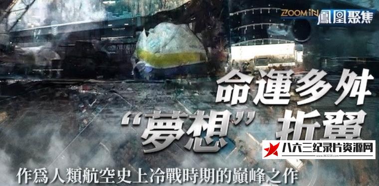 中国香港纪录片《命运多舛，“梦想”折翼》高清下载-八六三纪录片资源网