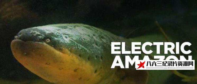 中国纪录片《亚马孙河的电鱼世界 Electric Amazon》高清下载-八六三纪录片资源网