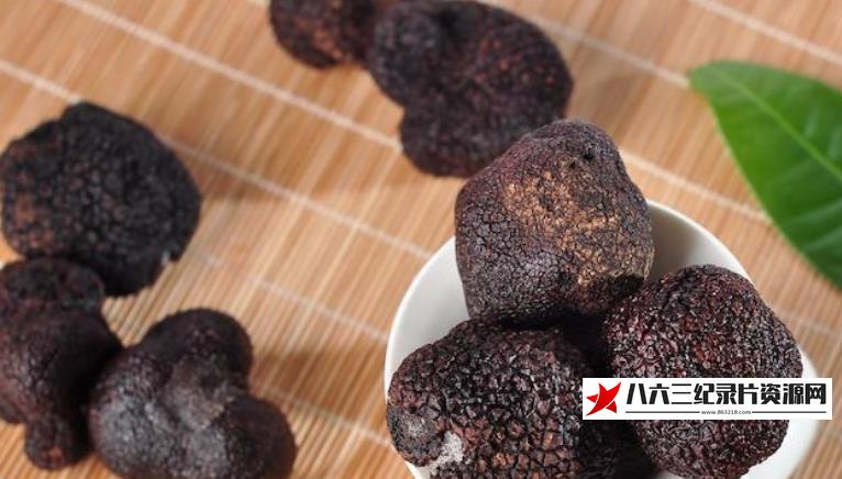 美国纪录片《黑松露挖宝战 Unearthed》高清下载-八六三纪录片资源网