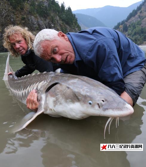 美国纪录片《河中巨怪特辑：史前怪物 River Monsters》高清下载-八六三纪录片资源网