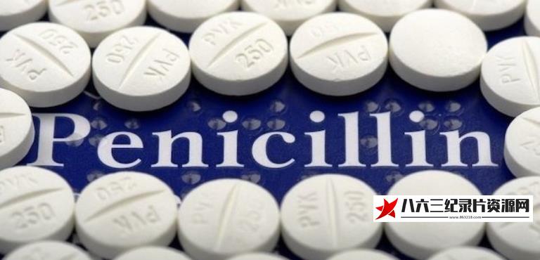 中国台湾纪录片《发现盘尼西林 Die Penizillin Story》高清下载-八六三纪录片资源网