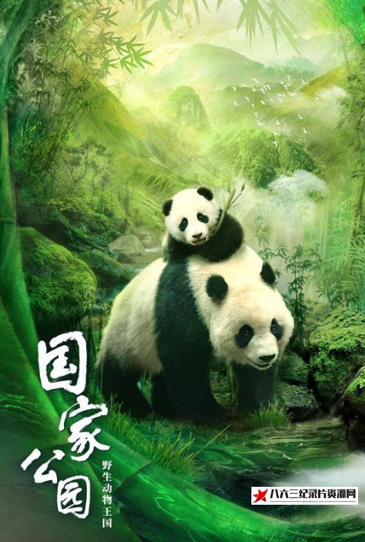中国大陆纪录片《国家公园：野生动物王国》高清下载-八六三纪录片资源网