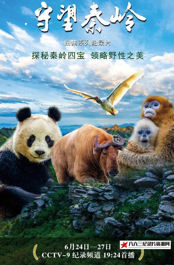 中国大陆纪录片《守望秦岭》高清下载-八六三纪录片资源网