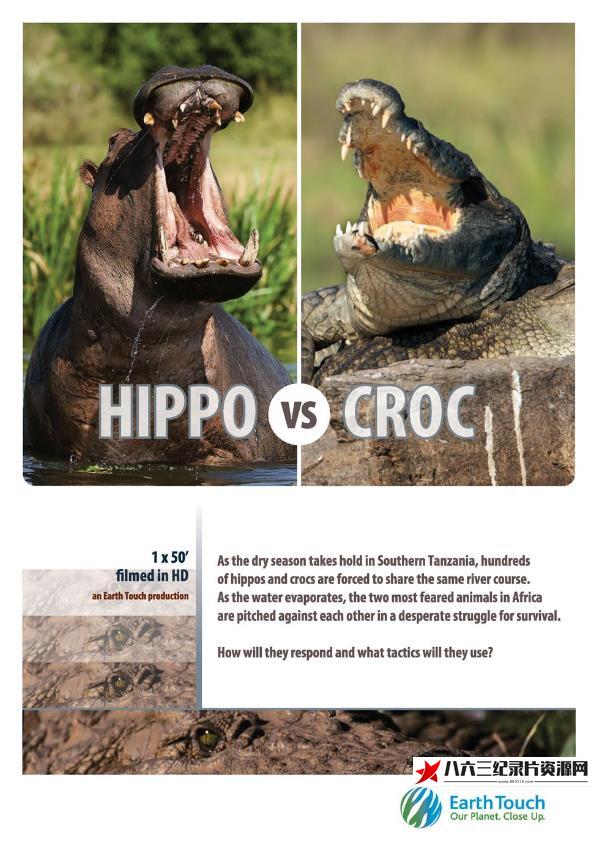中国纪录片《河马与尼罗鳄的领地之争 Hippo vs Croc》高清下载-八六三纪录片资源网