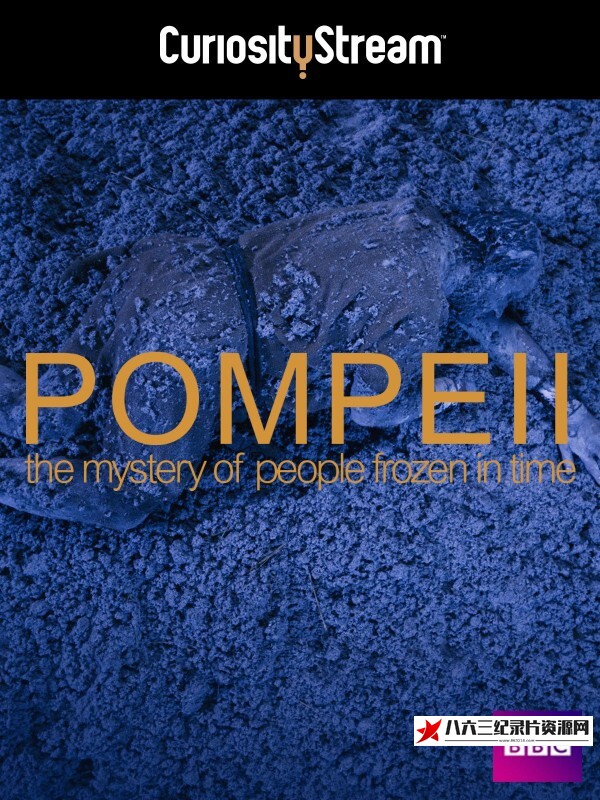 庞贝古城:揭秘被冻结于时光中的人 Pompeii: The Mystery of the People Frozen in Time的海报