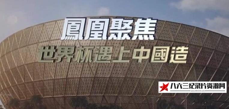 中国香港纪录片《世界杯遇上中国造》高清下载-八六三纪录片资源网