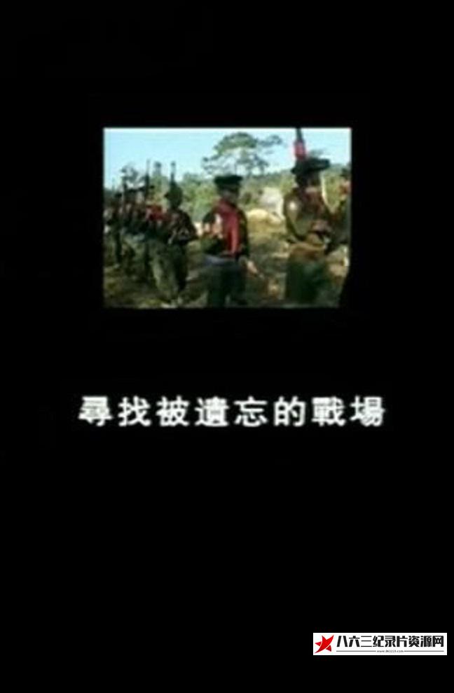 寻找被遗忘的战场的海报