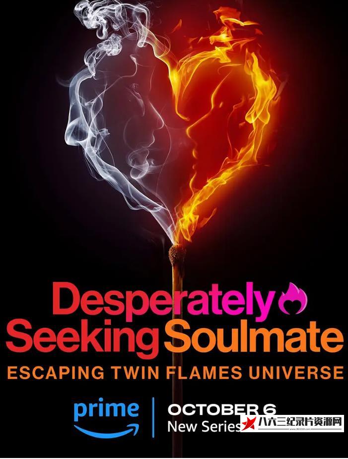美国纪录片《寻找灵魂伴侣：逃离双生火焰宇宙 Desperately Seeking Soulmate: Escaping Twin Flames Universe》高清下载-八六三纪录片资源网