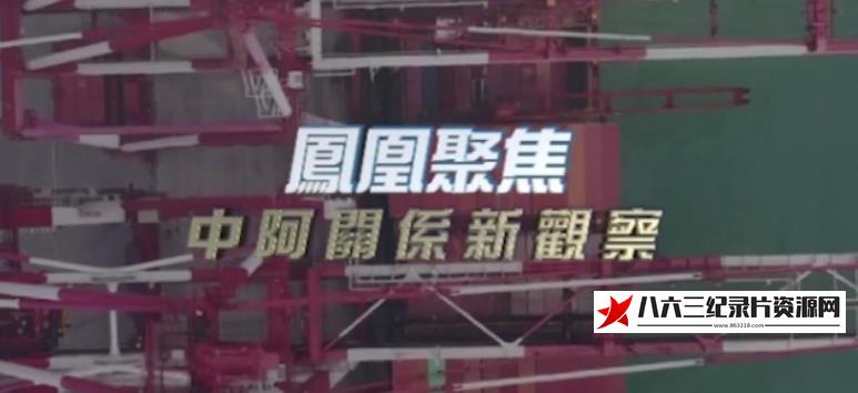 中国香港纪录片《中阿关系新观察》高清下载-八六三纪录片资源网