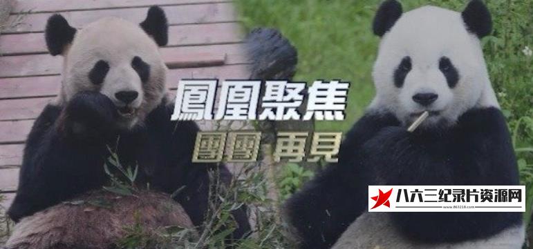 中国香港纪录片《团团再见》高清下载-八六三纪录片资源网