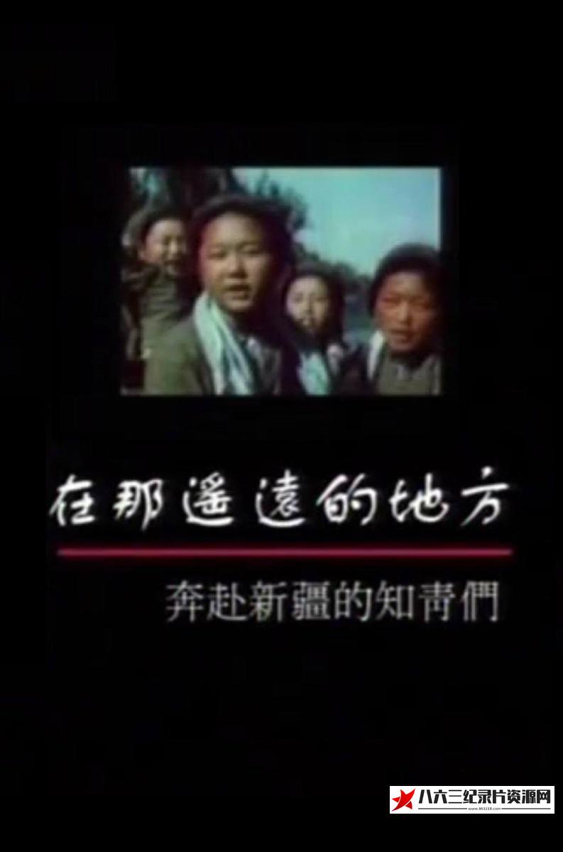 中国大陆纪录片《在那遥远的地方——奔赴新疆的知青们》高清下载-八六三纪录片资源网