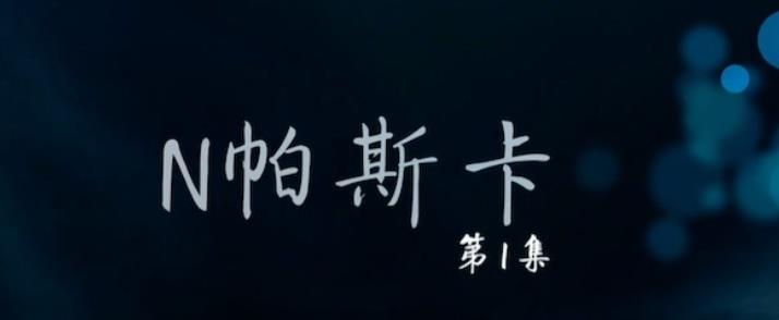 中国纪录片《N帕斯卡》高清下载-八六三纪录片资源网