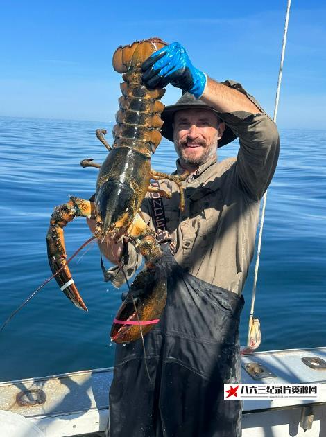 美国纪录片《龙虾捕手 Lobstermen》高清下载-八六三纪录片资源网