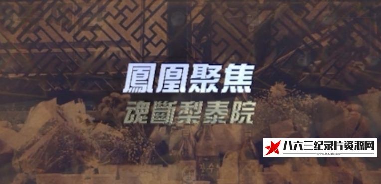 中国香港纪录片《魂断梨泰院》高清下载-八六三纪录片资源网