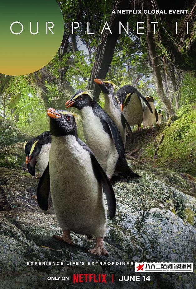 我们的星球 第二季 Our Planet Season 2的海报