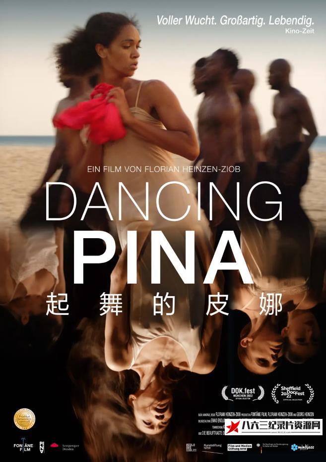 德国，塞内加尔纪录片《起舞的皮娜 Dancing Pina》高清下载-八六三纪录片资源网