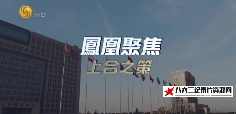 中国香港纪录片《上合之策》高清下载-八六三纪录片资源网