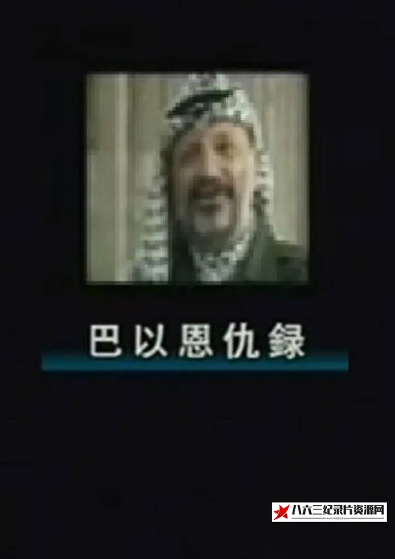 巴以恩仇录的海报