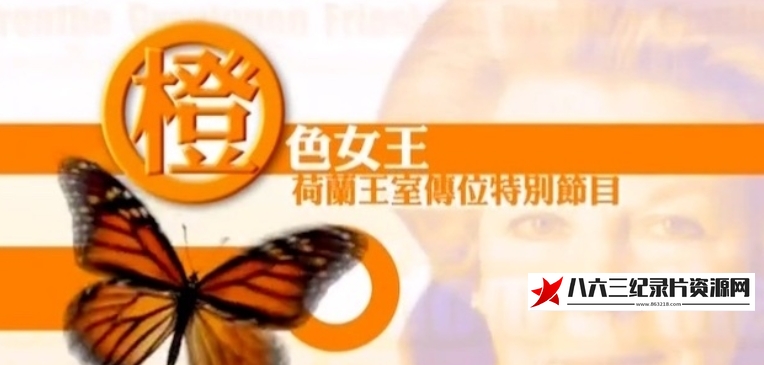 橙色女王·荷兰王室传位特别节目的海报